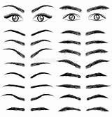 Eyebrow Eyebrows Sourcil Illustration Cosmetics Homme Sopracciglio Cosmetici Donne Occhi Affare Ed Yeux Mann Affaires Augenbraue Cosmétiques Microblading Illustrationen Shareasale sketch template