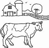 Cow Coloring Pages Dairy Printable Color Print Getcolorings Colorings sketch template