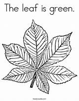 Coloring Green Leaf Search Favorites Login Add Cursive Twistynoodle sketch template