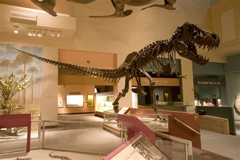 smithsonians national museum  natural history  build  dinosaur