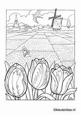 Kleurplaat Kleurplaten Windmill Dutch Netherlands Tulip Aap Mies Noot Kleuteridee Horsthuis Tulips Parel Landschap Omnilabo Hollande Preschool Mewarn15 Bollenvelden Leesplankje sketch template