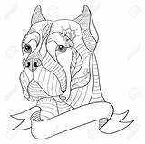 Zentangle Dessin Mastiff Canne Kopf Italienischen Stilisierte Vettore Testa Canna Mastino Stilizzato Illustration Vecteur Tête Stylisé Italien Potloodtekening Race Portret sketch template