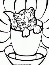 Coloring Pages Kitten Cup Cat Puppies Gif Kitties Kiezen Bord Kittten Kittens Popular sketch template