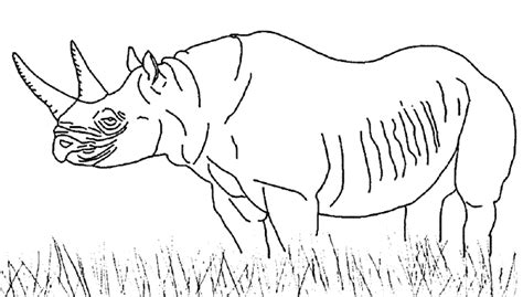 coloring pages  grassland plants  animals coloring pages