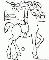 Coloring Pages Pony Horse Shetland Printable Related sketch template