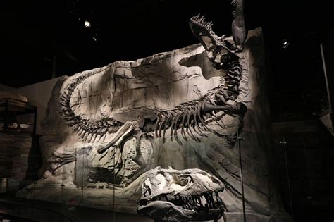 第3回 恐竜発掘の聖地と博物館で恐竜まみれだった高校時代 ナショナル ジオグラフィック日本版サイト