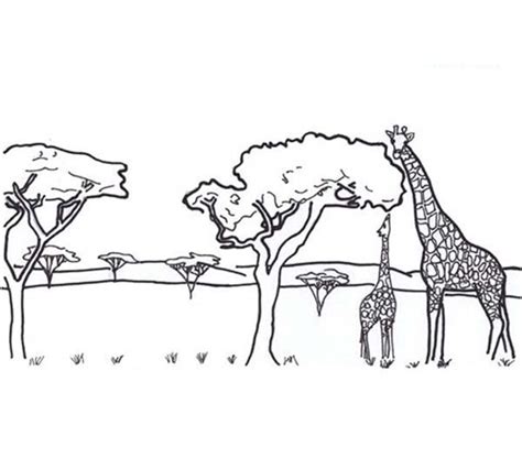 picture  african safari coloring page coloring sky giraffe