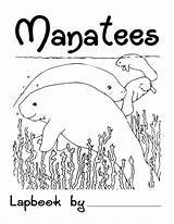 Manatee Coloring Worksheets Pages Sea sketch template
