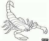 Coloring Pages Scorpion Printable Animals Preschool Color Kids Preschoolcrafts sketch template