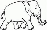 Elephant Indian Drawing Line Getdrawings sketch template