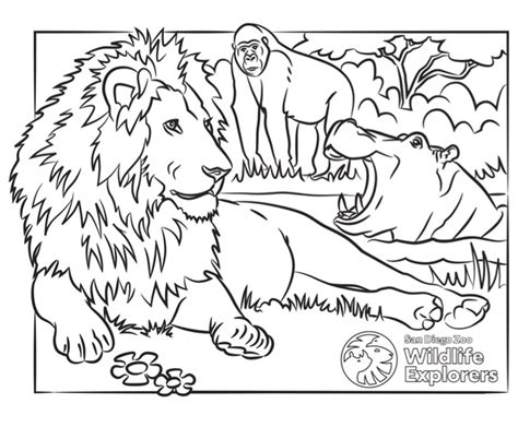 coloring page lion  friends san diego zoo wildlife explorers
