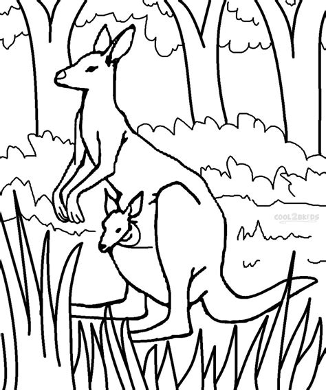 gambar printable kangaroo coloring pages kids coolbkids page cute