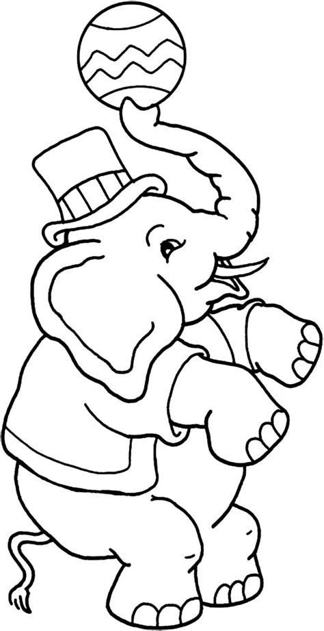 awesome circus elephant coloring pages  place  color