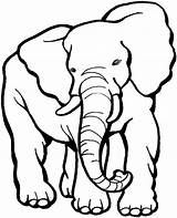 Elefantes sketch template