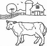 Mucche Coloring Mucca Vacas Cattle Toro Disegni Milch sketch template