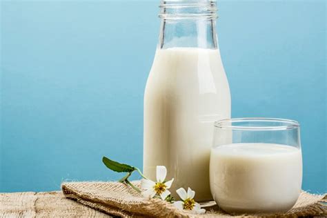 sejarah susu  indonesia dulu dianggap darah putih halaman  kompascom