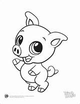 Coloring Pages Baby Animals Animal Cute Color Print Pig Colouring Printable Leapfrog Drawings Small Kids Drawing Beluga Adults Clipart Adorable sketch template