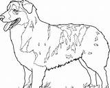 Cani Stilizzati Facili sketch template