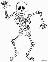 Coloring Skelett Skeletons Human Ausdrucken Cool2bkids Clases Kostenlos sketch template