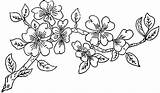 Branch Coloring sketch template