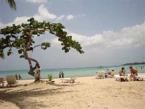 The Beach Picture Of Couples Negril Negril Tripadvisor