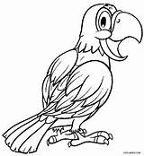 Parrot Coloring Pages Macaw Parrots Adults Drawing Fish Printable Kids Color Print Cockatiel Cool2bkids Getdrawings Designlooter Getcolorings 78kb 750px Pag sketch template