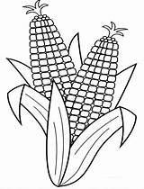 Corn Coloring Pages Harvest Stalk Drawing Indian Cob Harvesting Para Fall Clip Easy Color Print Colorir Printable Milho Coloringsun Ears sketch template