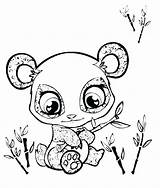 Zoo Coloring Pages Baby Animal Animals Getcolorings sketch template