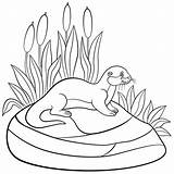 Otter Sheets Coloring4free Nutria Coloringbay sketch template