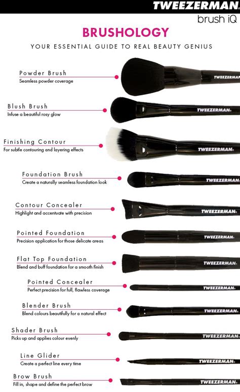 the best guide to makeup brushes and their uses makeup