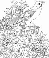 Coloring Pages Adult Spring Bird Flower Difficult sketch template