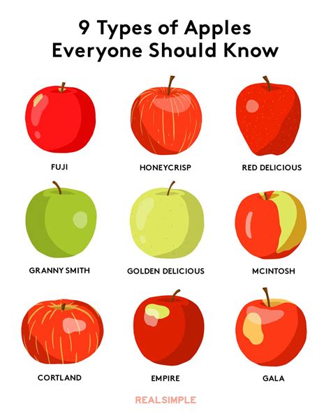 apple varieties chart