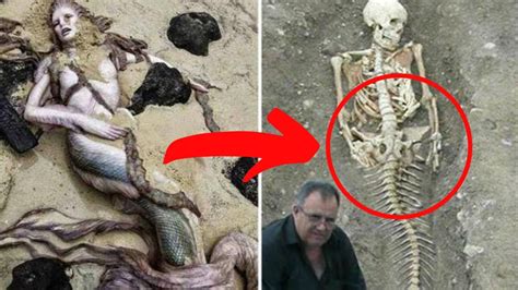 Top 3 Real Life Mermaids That Actually Exists Youtube