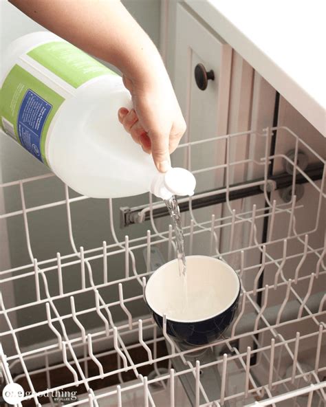 deep clean  dishwasher   easy steps jillee