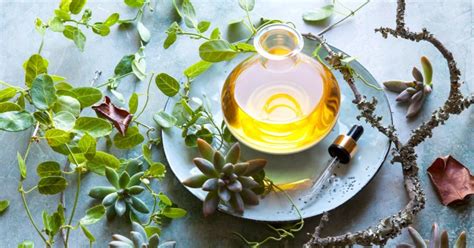 what essential oils should you always have around mindbodygreen