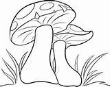 Mushroom Mushrooms Drawing Cartoon Coloring Draw Pages Step Drawings Fungi Simple Magic Para Dibujos Google Color Alice Wonderland Kids Dibujar sketch template