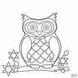 Coloring Owl Pages Cartoon sketch template