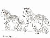 Coloring Pages Nicole Horse Horses Gypsy Wild August Florian Print Friday Created sketch template