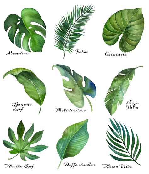 tropical leaf  printable art series    happy housie leave