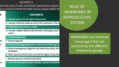 Role Of Hormones In Reproductive System Based On Learning Activity