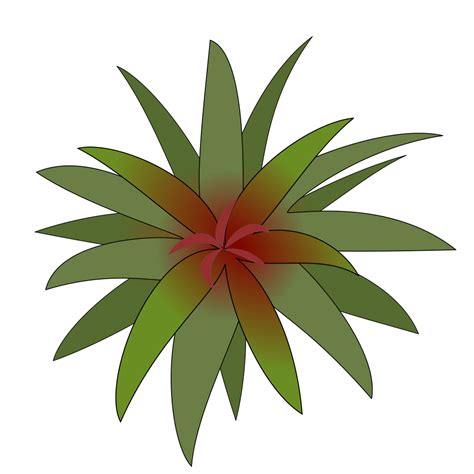 Onlinelabels Clip Art Bromelia 03