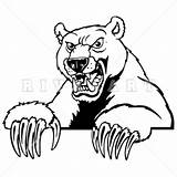 Fierce Clipart Bear Lion Clip Mascot Bears Clipground 20clipart 20lion sketch template