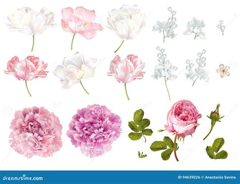 flower elements set stock vector illustration  bright