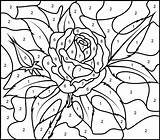 Coloring Rose Number Color Hard Printable Print sketch template