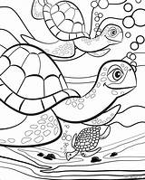 Colouring Kids Pages Coloring Turtle Printable Summer Long Sheets Print Sea Days Animal Fun Scentos Turtles Cute Pauletpaula Younger Ages sketch template