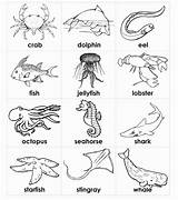 Worksheets Tracing Preschoolers Sheets Creature Scegli Bacheca sketch template