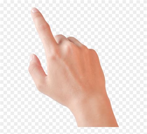 pointing finger png real hand pointing png transparent png  pngfind