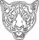 Tiger Mask Coloring Pages Choose Board sketch template