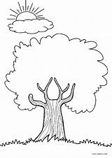 Coloring Pages Printable Tree Trees Kids Cool2bkids Color Sheets Drawing Adult Print Crafts Apple Farm Growing Kindergarten Young sketch template