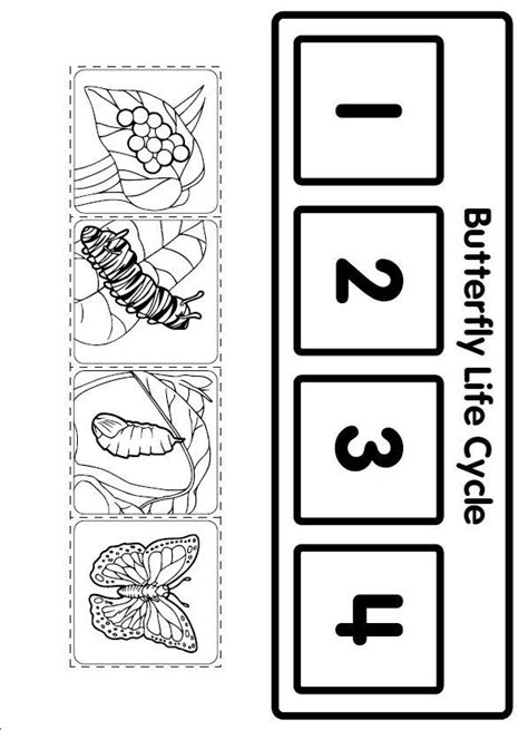life cycle butterfly worksheet  kids  crafts  worksheets